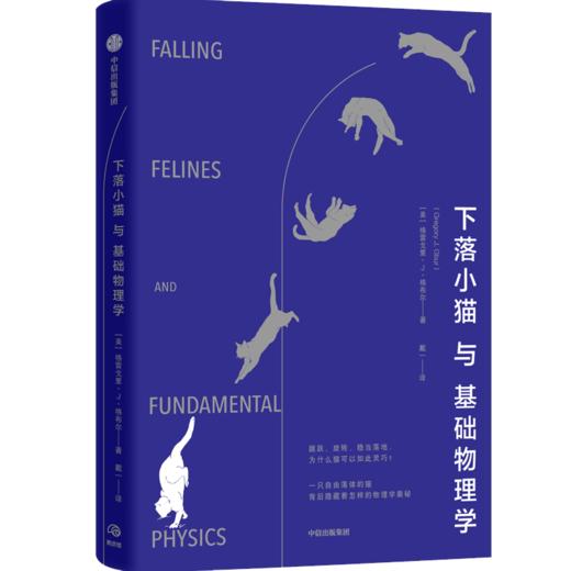 下落小猫与基础物理学 格雷戈里J格布尔 著  基础物理学 物理学研究报告 中信出版社图书 正版 商品图6