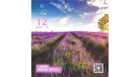 【花丘•心语】