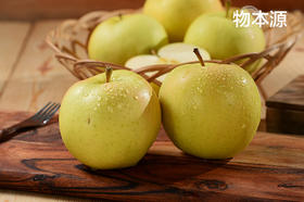 日本青森苹果