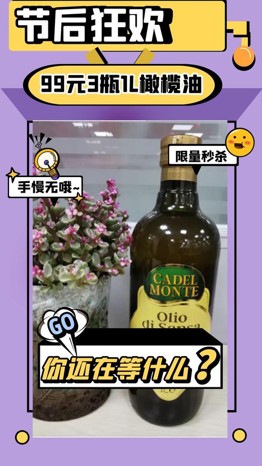 【99元】3瓶意大利进口橄榄油1L（圆瓶） 商品图0
