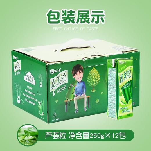 蒙牛真果粒芦荟味250ml 商品图0
