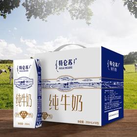 蒙牛特仑苏纯牛奶高端整箱优质乳蛋白（250ml*16包）/提