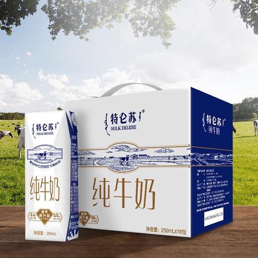 蒙牛特仑苏纯牛奶高端整箱优质乳蛋白（250ml*16包）/提 商品图0