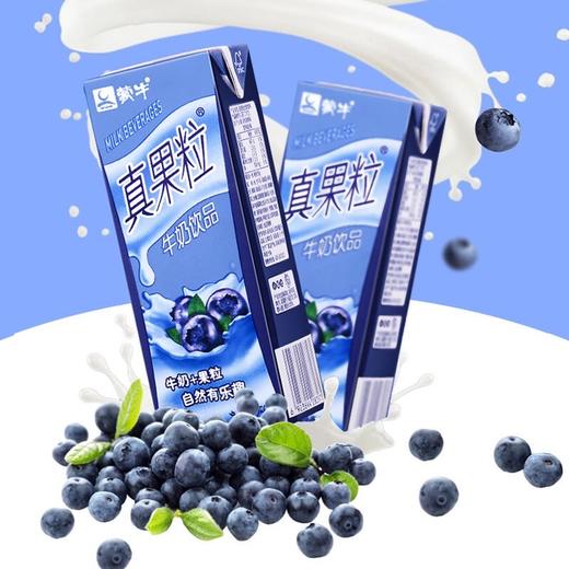 蒙牛真果粒蓝莓味250ml 商品图1