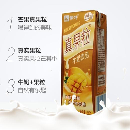 蒙牛真果粒芒果味250ml 商品图2