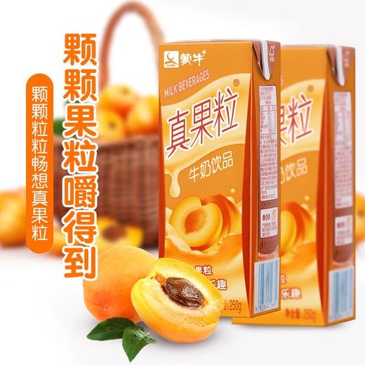 蒙牛真果粒黄桃味250ml 商品图2
