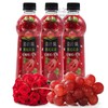 美汁源爽粒红葡萄花语+玫瑰饮料420ml 商品缩略图2