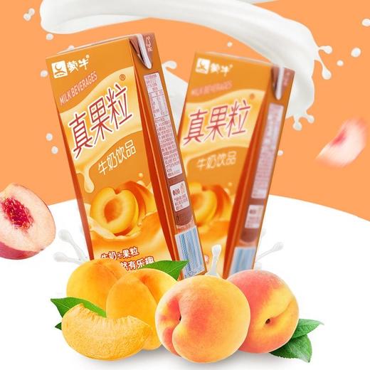 蒙牛真果粒黄桃味250ml 商品图0