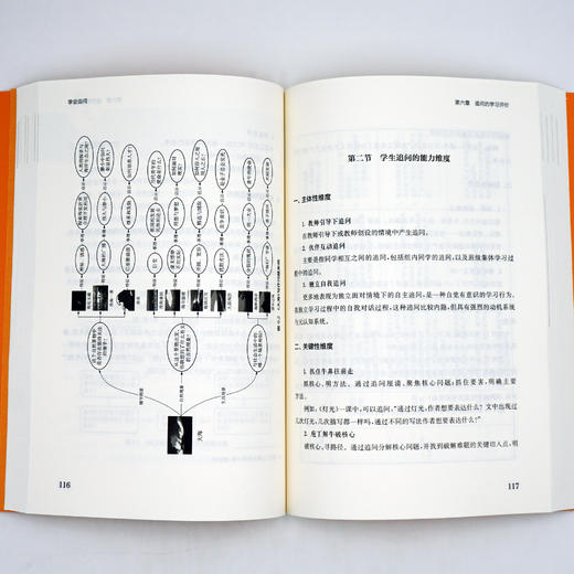 学会追问 问题化学习丛书 王天蓉 王达 顾稚冶等编著 商品图2