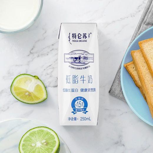 特仑苏低脂牛奶250ml*16包 牛奶整箱宅家营养早餐奶（250ml*16）/提 商品图5