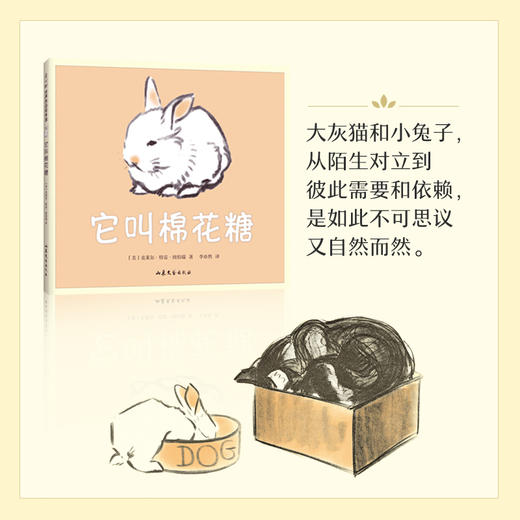 它叫棉花糖 3-6岁 克莱尔·特雷·纽伯瑞 猫 兔子 爱 亲密 幸福 温暖 友谊 母爱 二胎 凯迪克大奖木炭画 商品图2