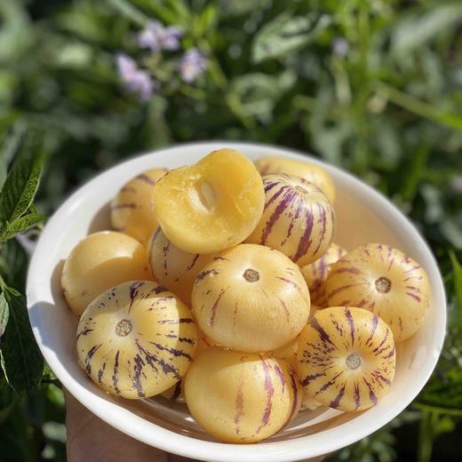 【版纳树熟人参果】 自然成熟 香甜多汁 无核 富硒 普通快递包邮 商品图1