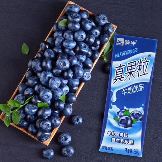 蒙牛真果粒蓝莓味250ml 商品图3