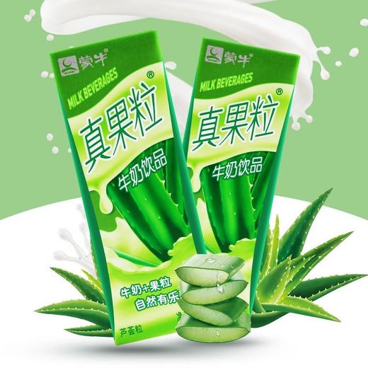 蒙牛真果粒芦荟味250ml 商品图2