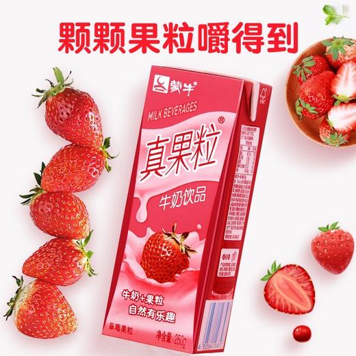 蒙牛真果粒草莓味250ml 商品图4