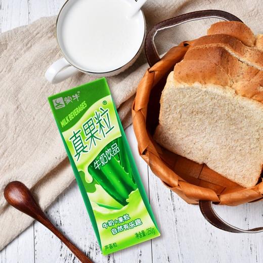 蒙牛真果粒芦荟味250ml 商品图3