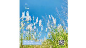 【花丘•心语】