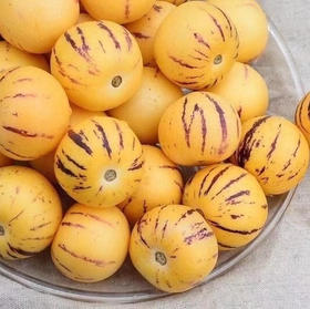 【版纳树熟人参果】 自然成熟 香甜多汁 无核 富硒 普通快递包邮