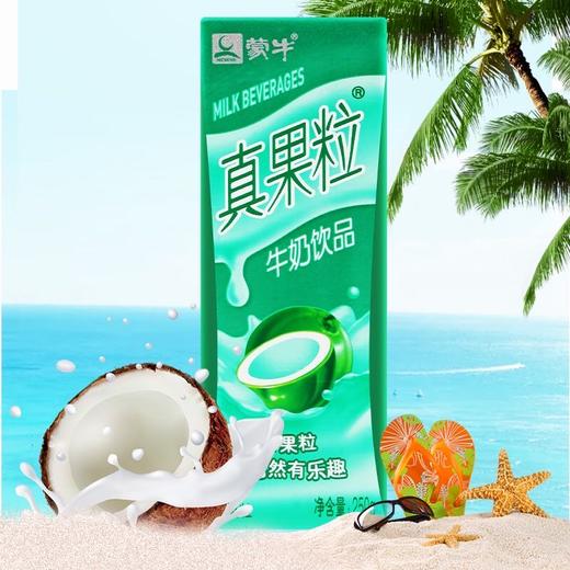 蒙牛真果粒椰果味250ml 商品图4