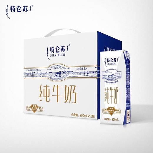蒙牛特仑苏纯牛奶高端整箱优质乳蛋白（250ml*16包）/提 商品图4