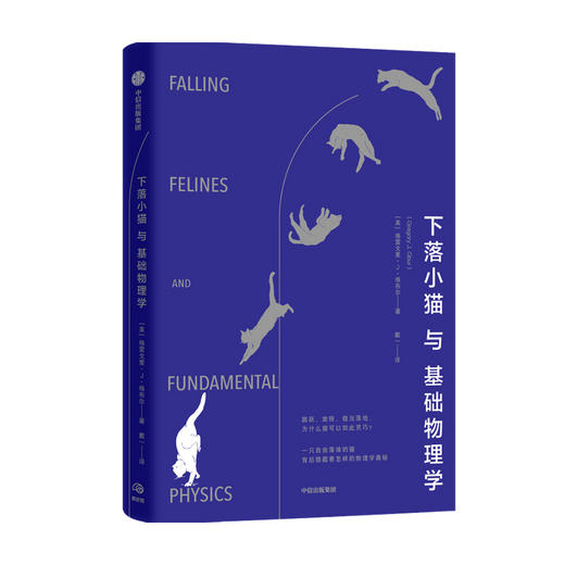 下落小猫与基础物理学 格雷戈里J格布尔 著  基础物理学 物理学研究报告 中信出版社图书 正版 商品图4