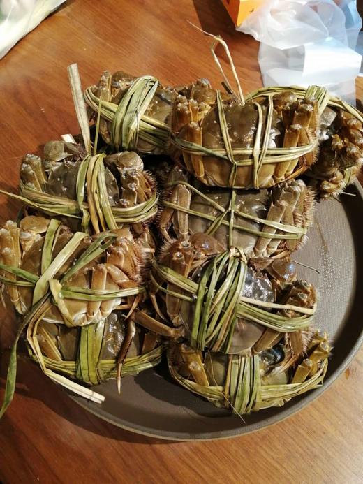 江苏大闸蟹16只（内购） 商品图0