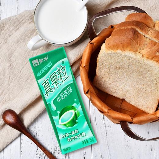 蒙牛真果粒椰果味250ml 商品图1