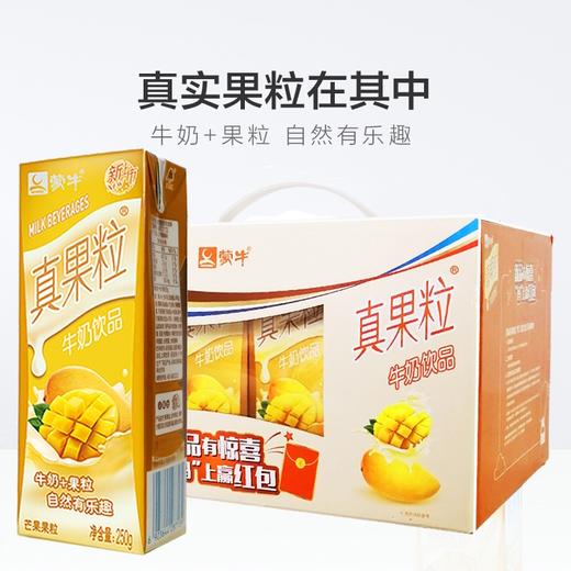 蒙牛真果粒芒果味250ml 商品图1