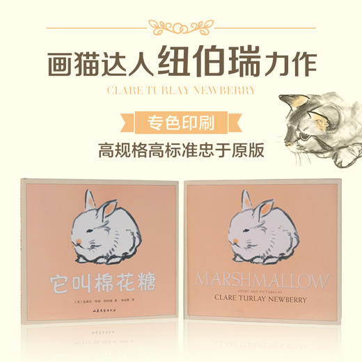 它叫棉花糖 3-6岁 克莱尔·特雷·纽伯瑞 猫 兔子 爱 亲密 幸福 温暖 友谊 母爱 二胎 凯迪克大奖木炭画 商品图3