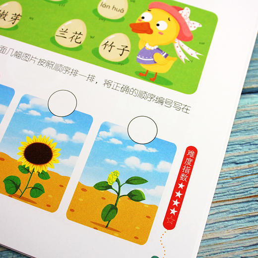 学前语文阶梯训练（套装共4册） 商品图6