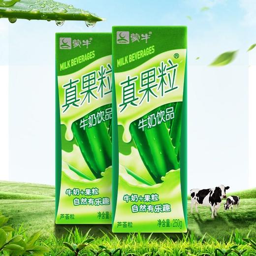 蒙牛真果粒芦荟味250ml 商品图1