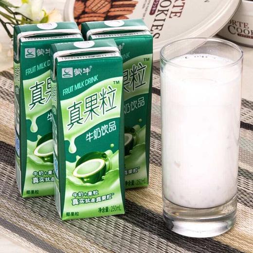 蒙牛真果粒椰果味250ml 商品图2