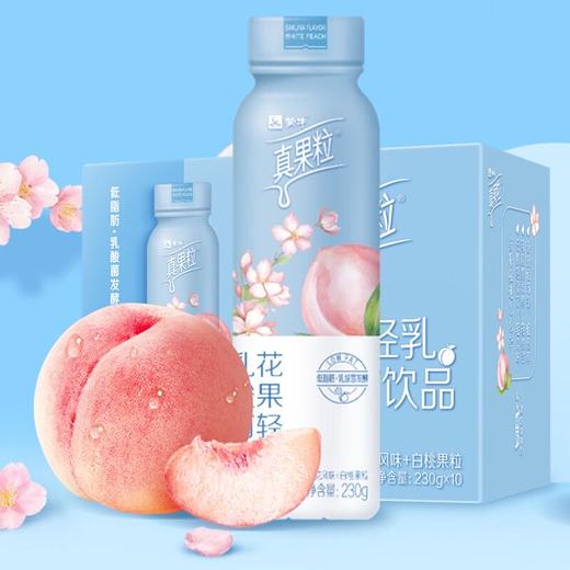 真果粒花果轻乳樱花白桃味乳酸菌饮料 商品图3