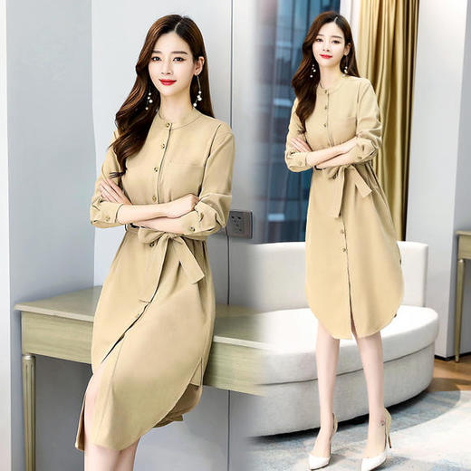 WZNH-SYY2085秋季新款长款宽松厚款连衣裙 商品图3