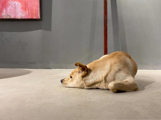 硬木红漆折叠大量尺， 顺丰包邮 商品图12