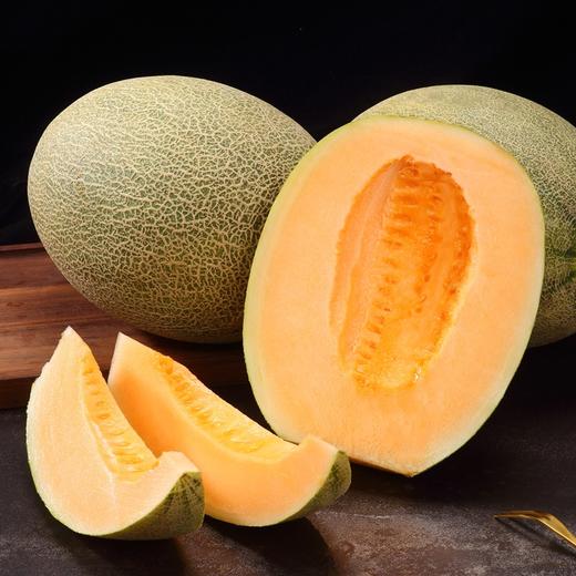 西周蜜  1个 商品图2