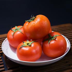 西红柿 600g （蔬菜）