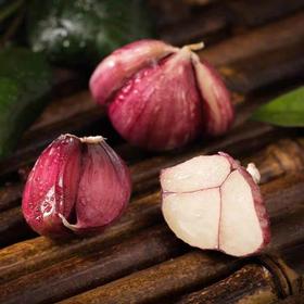 红蒜 500g （蔬菜调味）