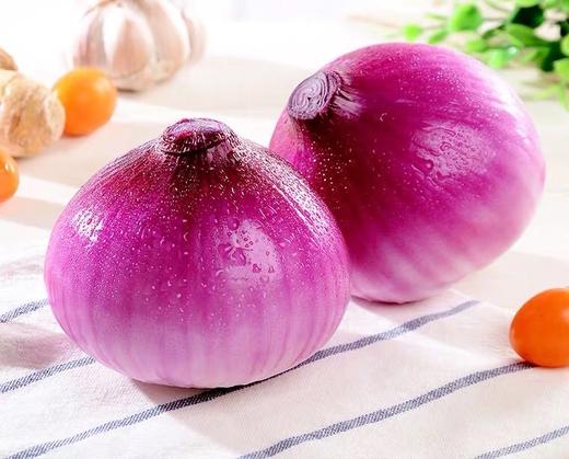 洋葱 500g （蔬菜） 商品图3