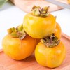 甜脆柿子 新鲜水果 1000g±50g 商品缩略图0