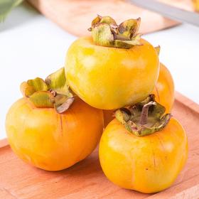 甜脆柿子 新鲜水果 1000g±50g