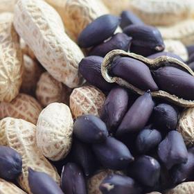 黑花生500g｜云南普洱