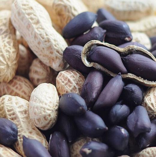 黑花生500g｜云南普洱 商品图0