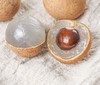 龙眼 新鲜水果 1000g±50g 商品缩略图1
