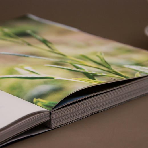 新民说   茶之路  《生活月刊》/著   茶 茶叶 茶师 茶农  历史 商品图4