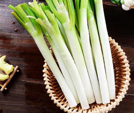 大葱 新鲜蔬菜 250g 商品图0