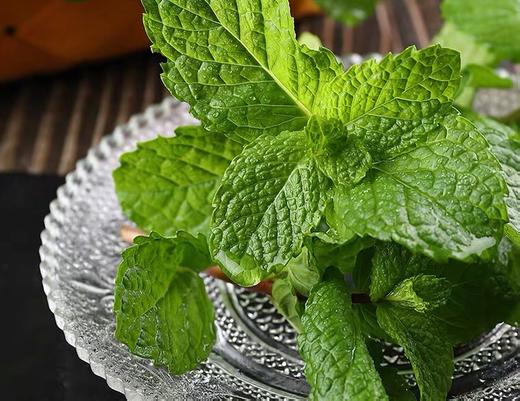 薄荷 150g（蔬菜调味） 商品图0