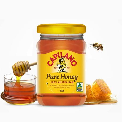 康蜜 乐 蜂蜜500g 商品图0