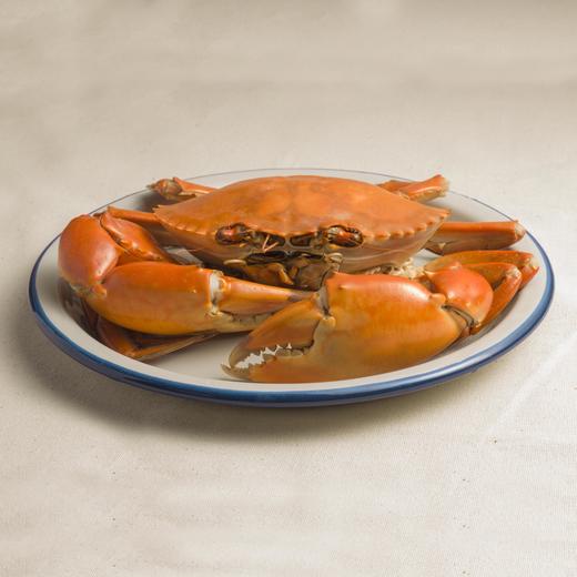 【地理标志】台州 三门青蟹 水产鲜活大青蟹肉蟹海螃蟹