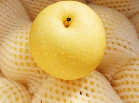 皇冠梨 新鲜水果 1000g±50g